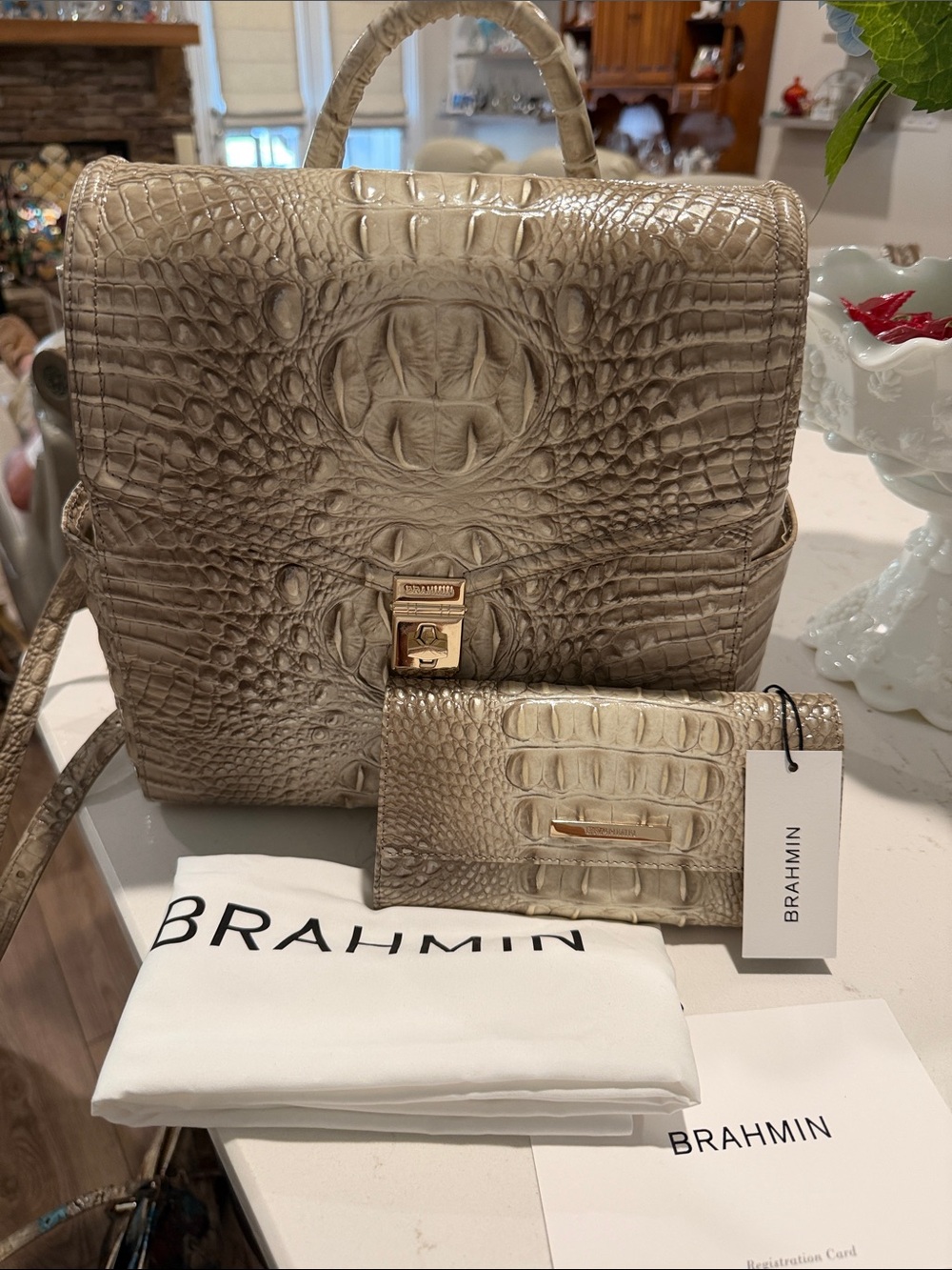 Brahmin Liz Backpack and Cordelia Wallet in Clay Melbourne